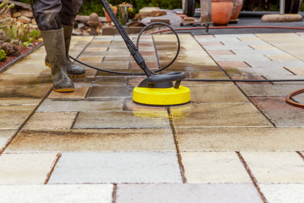 Best Solar Panel Cleaning  in Woodbury, MN