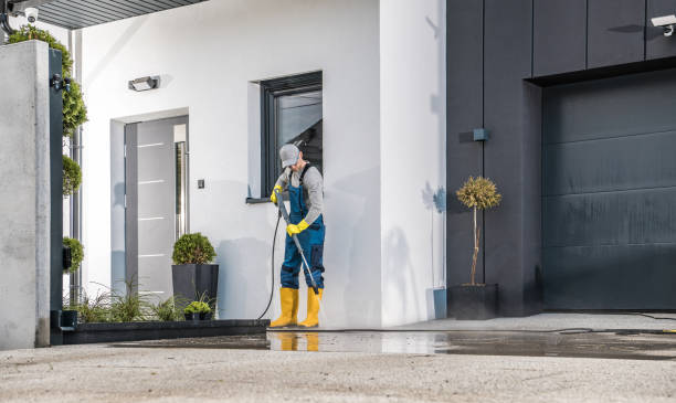 Best Graffiti Removal  in Woodbury, MN